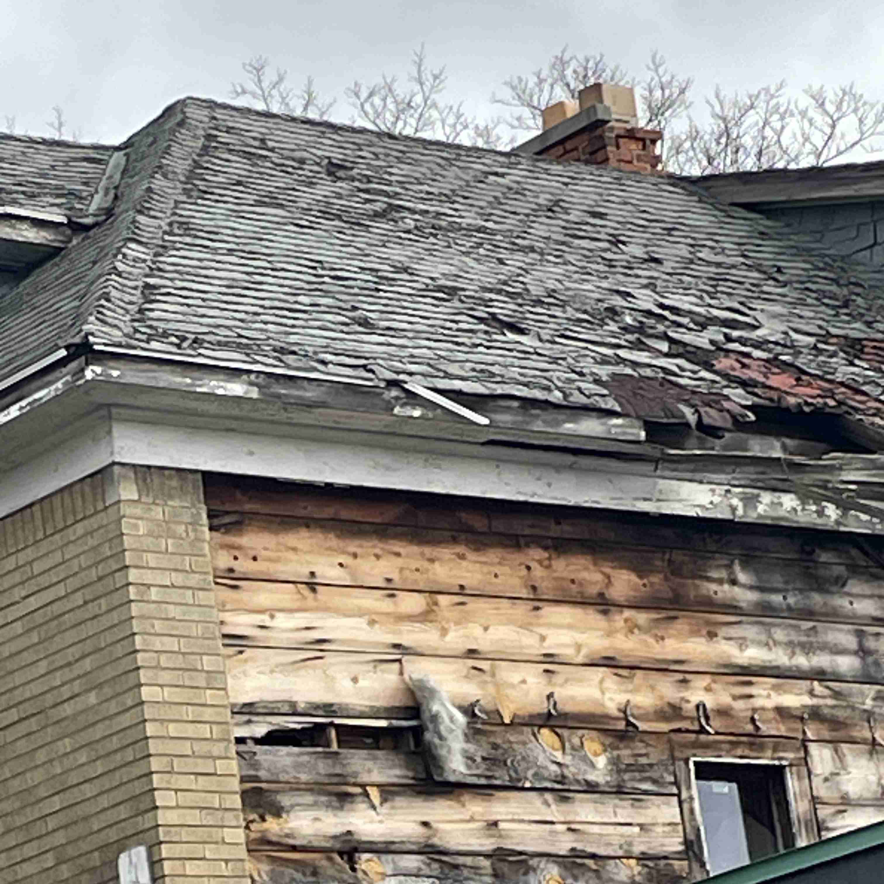 4039 Tuxedo (13).jpg